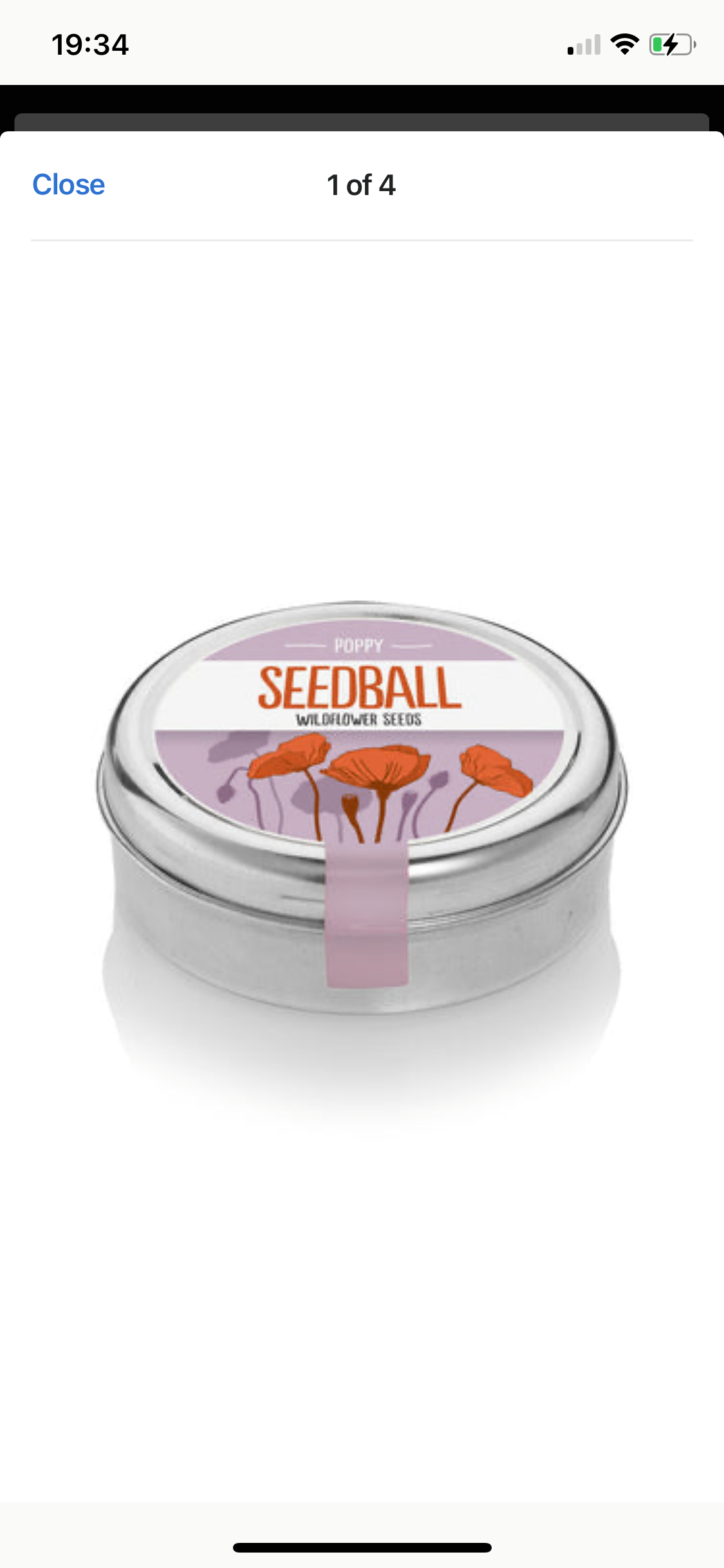 Seedball