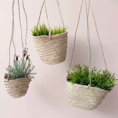 Hanging Planter Baskets: Tiny