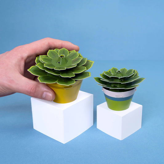 Make Your Own Soothing Succulent Paper Plant