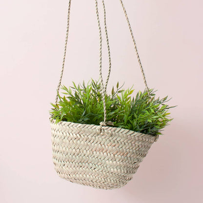 Hanging Planter Baskets: Tiny