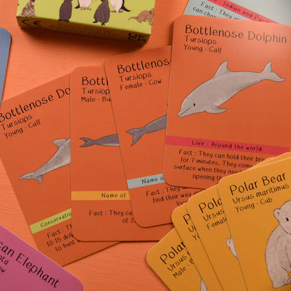 Amazing Animal Families Card Game