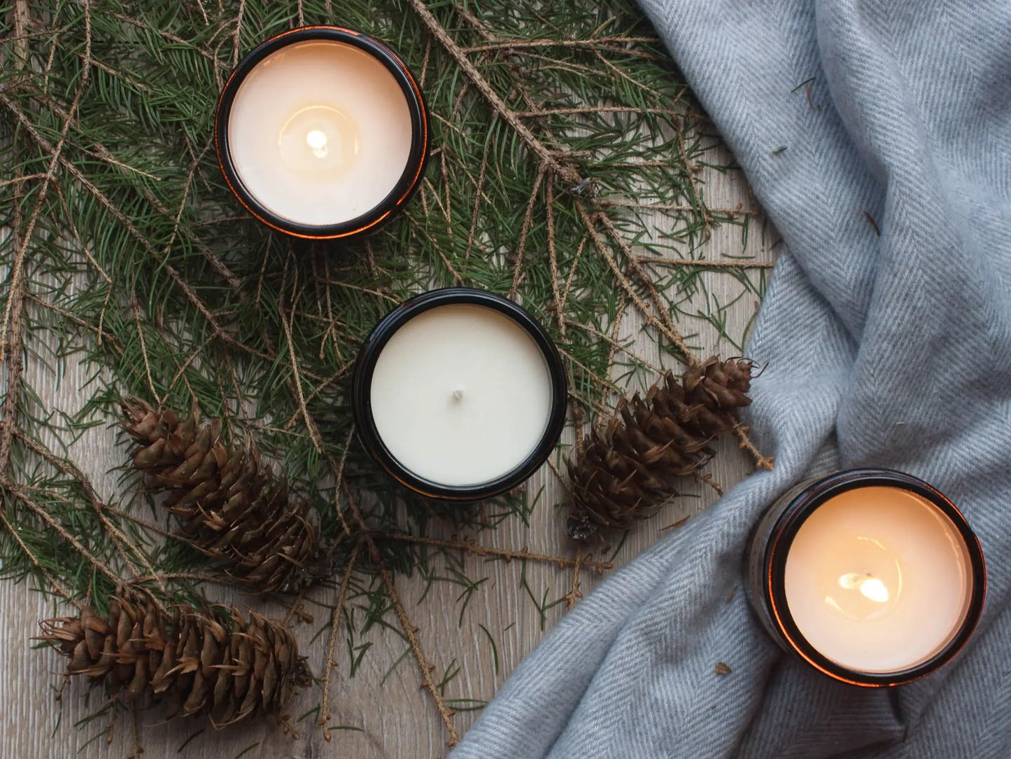 Nordic Pine Candle | Pine, Eucalyptus, Cedarwood