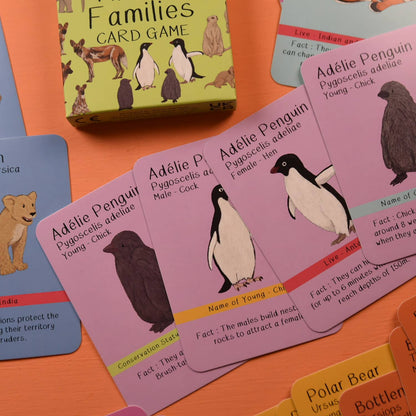 Amazing Animal Families Card Game