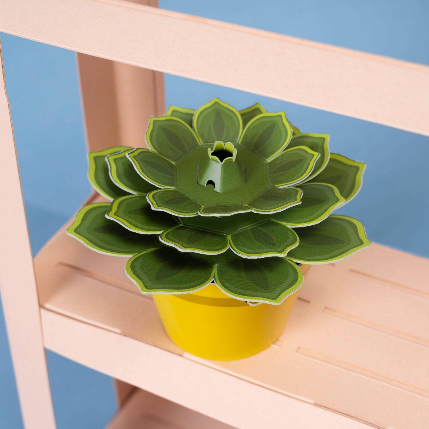 Make Your Own Soothing Succulent Paper Plant