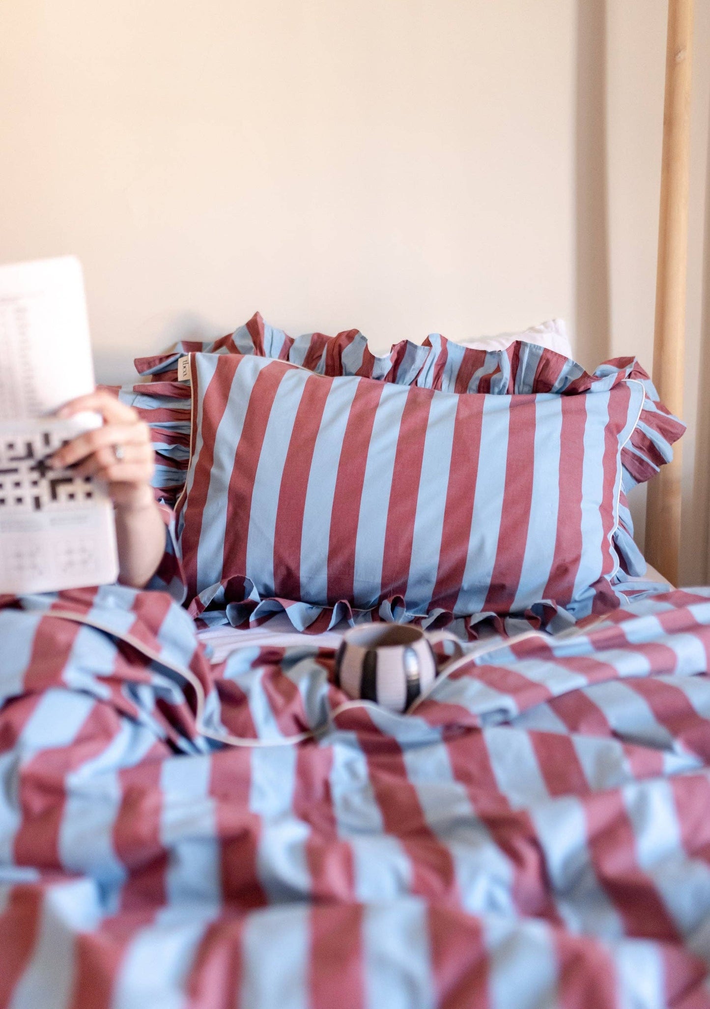 Pair of Cotton Pillowcases in Blue & Red Stripe