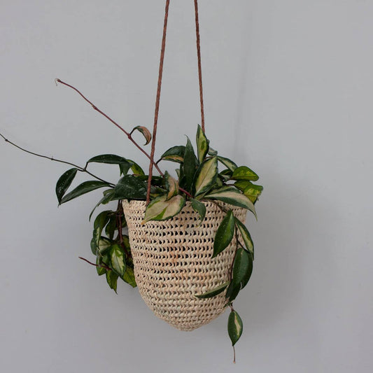 Open Weave Dome Hanging Planter Basket in Tan | Medium