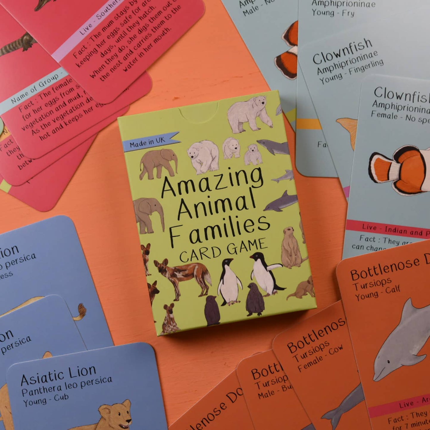 Amazing Animal Families Card Game