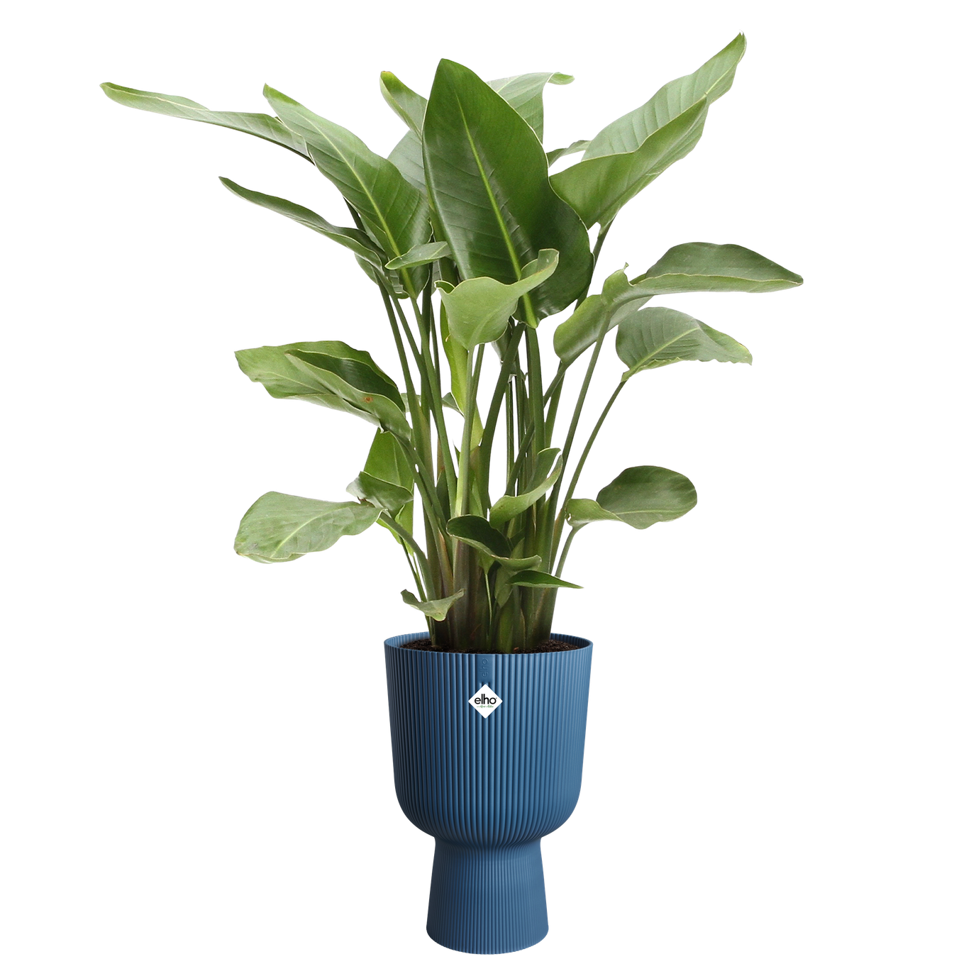 Vibes Coupe Fold Plant Pot