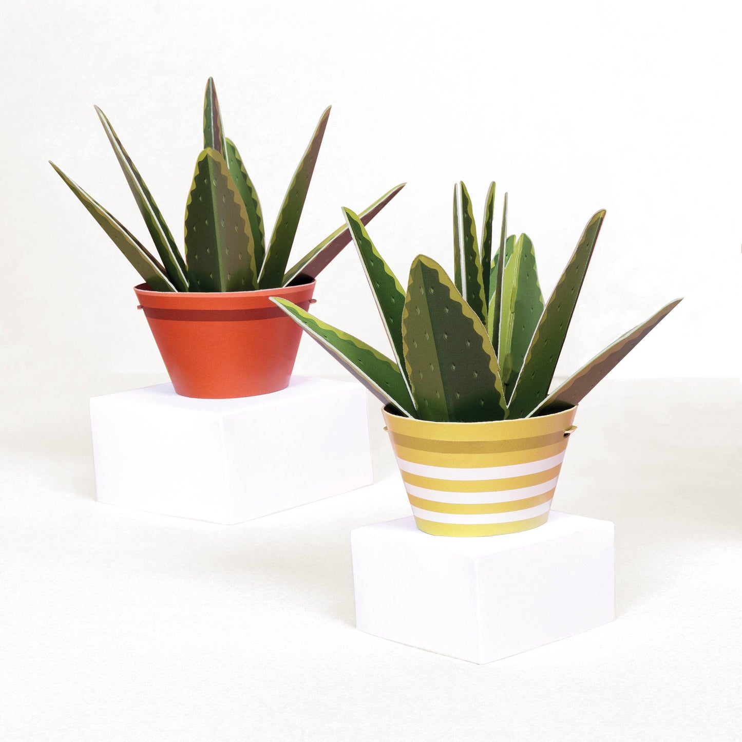 Make Your Own Healing Aloe Vera Paper Plant