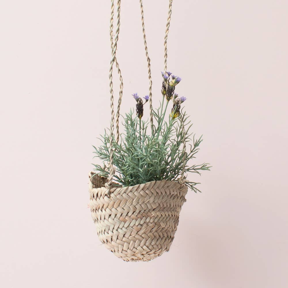 Hanging Planter Baskets: Tiny