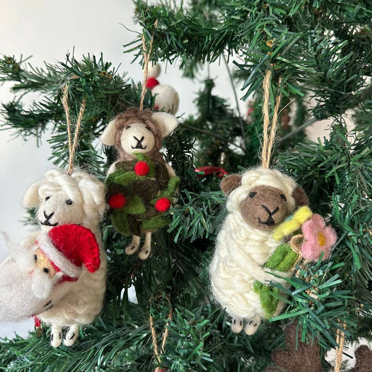 Sheep Holding Santa Ornament