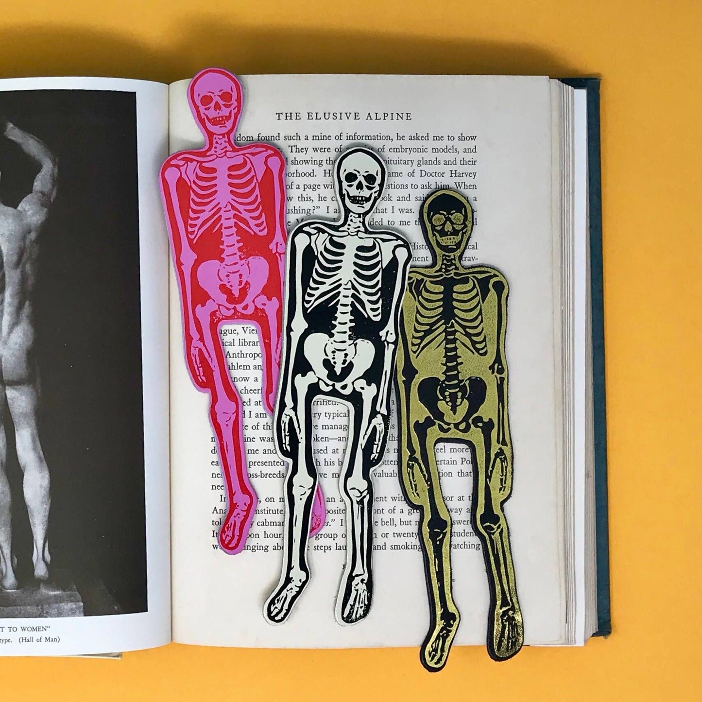 Skeleton Bookmark