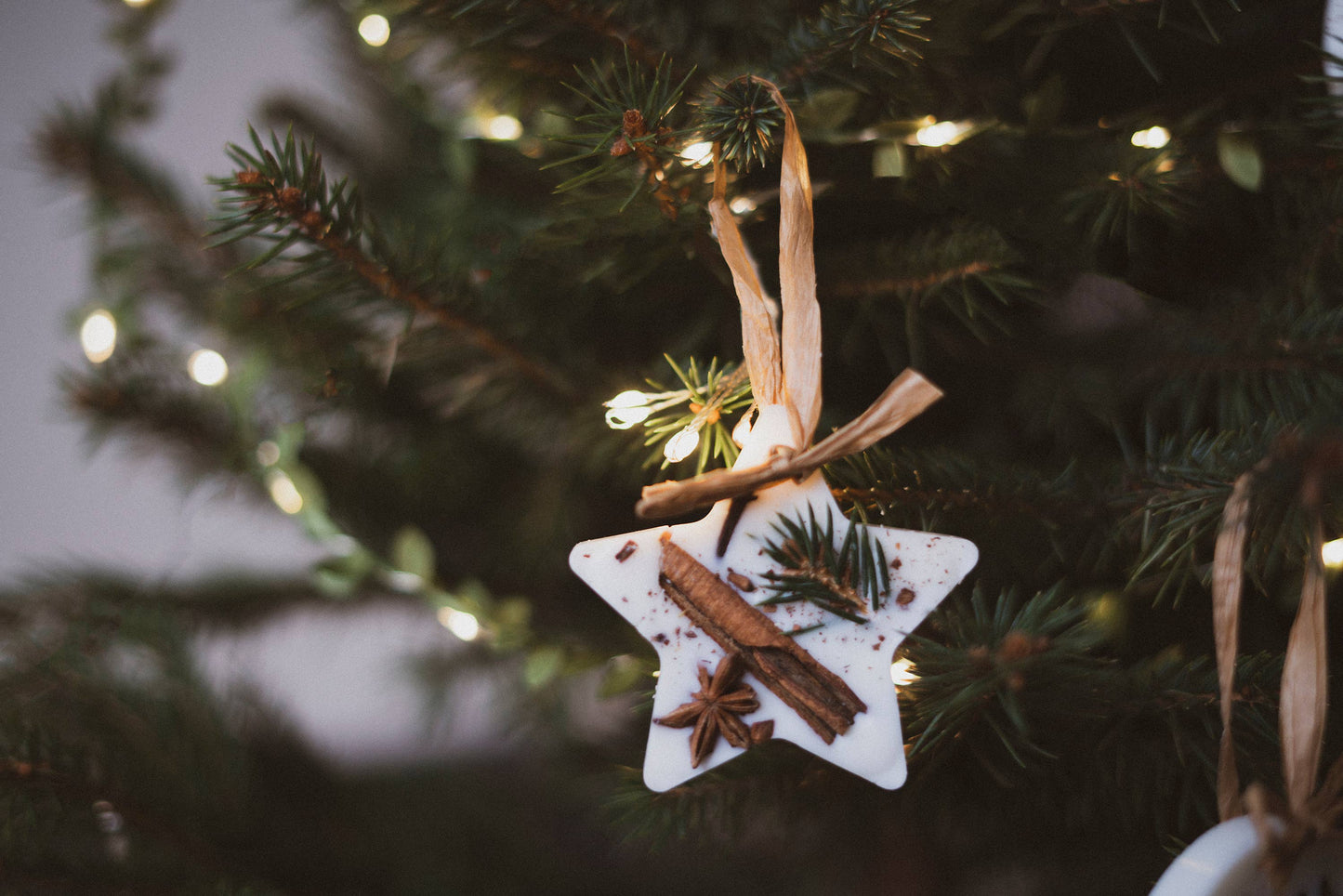 Christmas Scented Tree Decorations