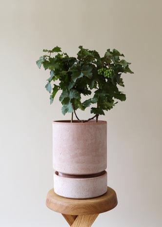 Hoff Pot Ø21cm | Rose Clay