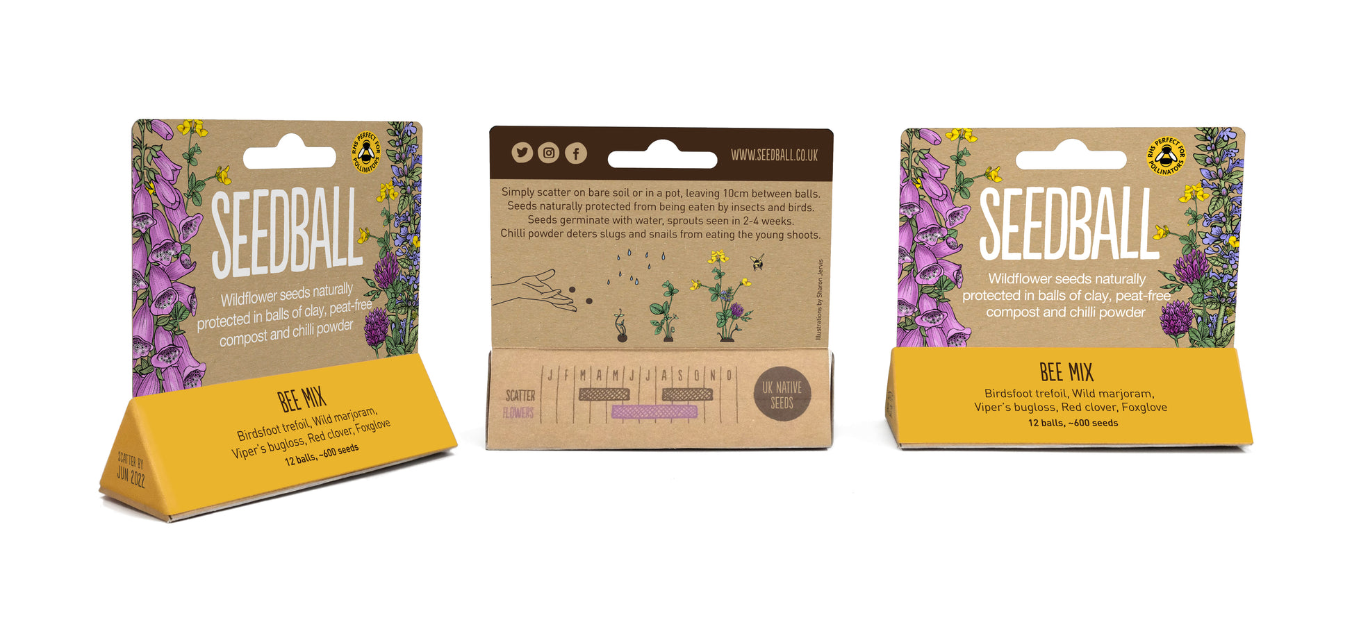 The Every Space Garden Mini-Meadow with 3 biodegradable, compostable bamboo pots and saucers, peat-free coir discs, and 12 wildflower seed balls containing approximately 30 wildlife-friendly wildflower seeds, by Seedball