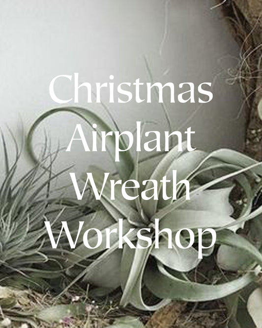 Airplant CHRISTMAS Wreath Workshop | Tuesday 26th November