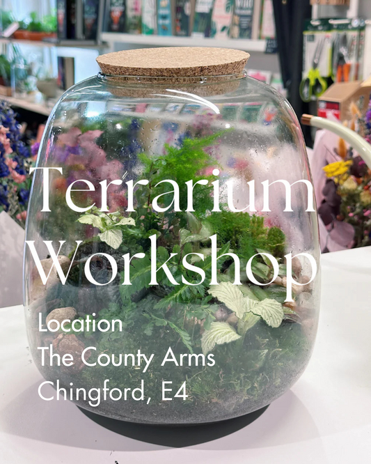 Terrarium Workshop | Wednesday 9th April | Location: The County Arms, Chingford