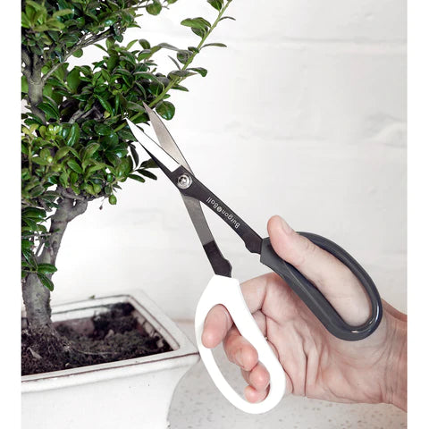 Japanese Pruning Scissors