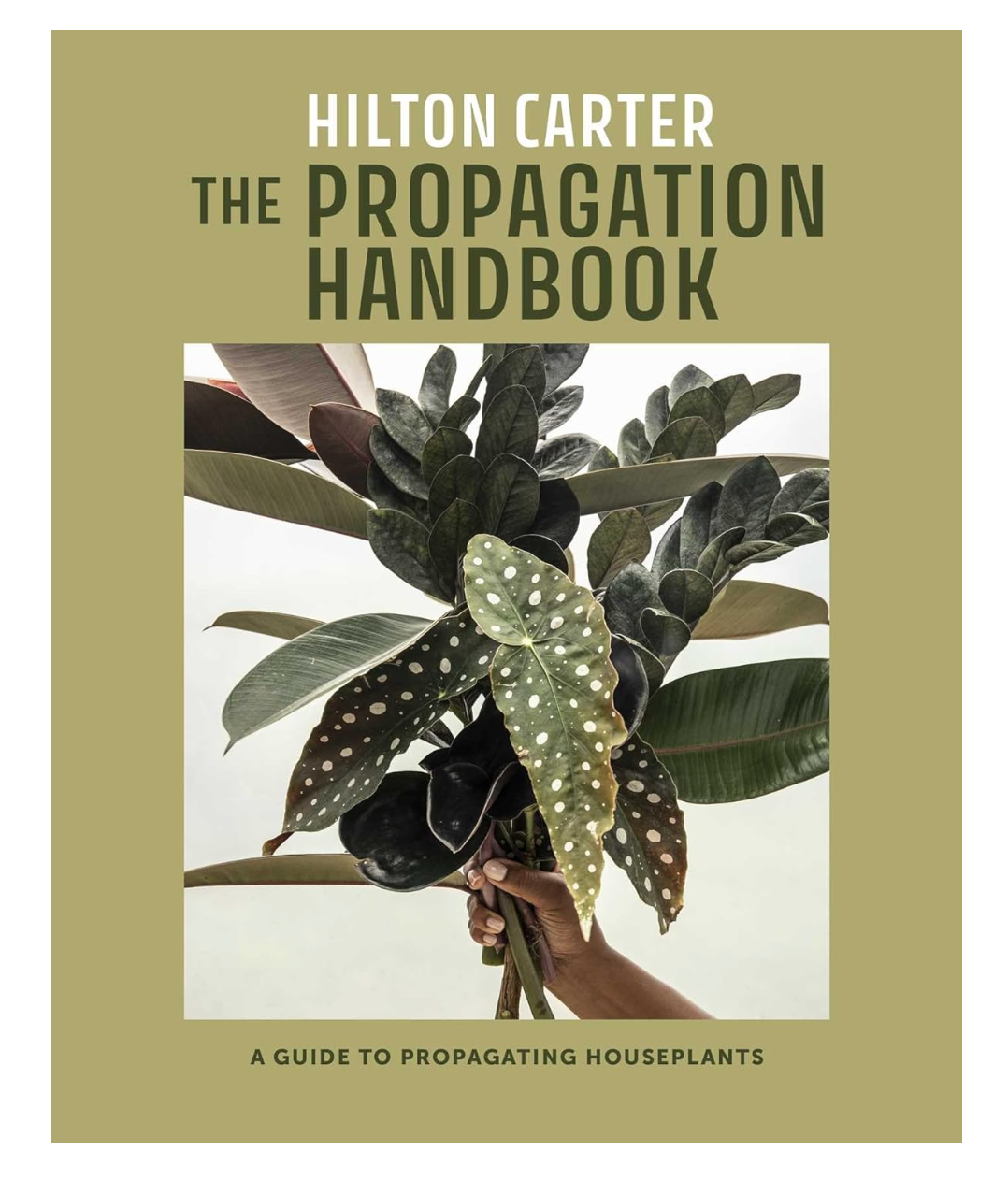 The Propagation Handbook: A guide to propagating houseplants