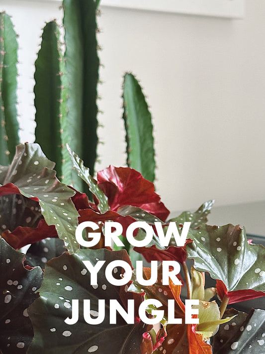 Grow Your Jungle