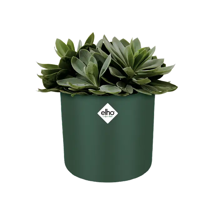 B.For Soft Round 30cm Pot Leaf Green