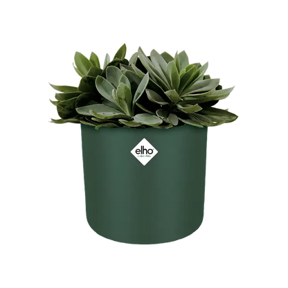 B.For Soft Round 30cm Pot Leaf Green