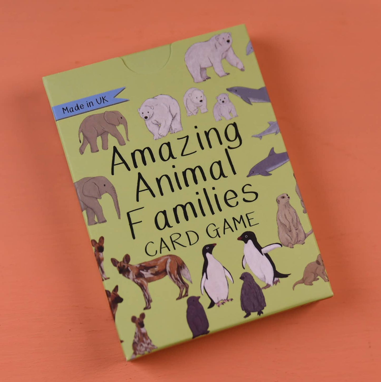 Amazing Animal Families Card Game