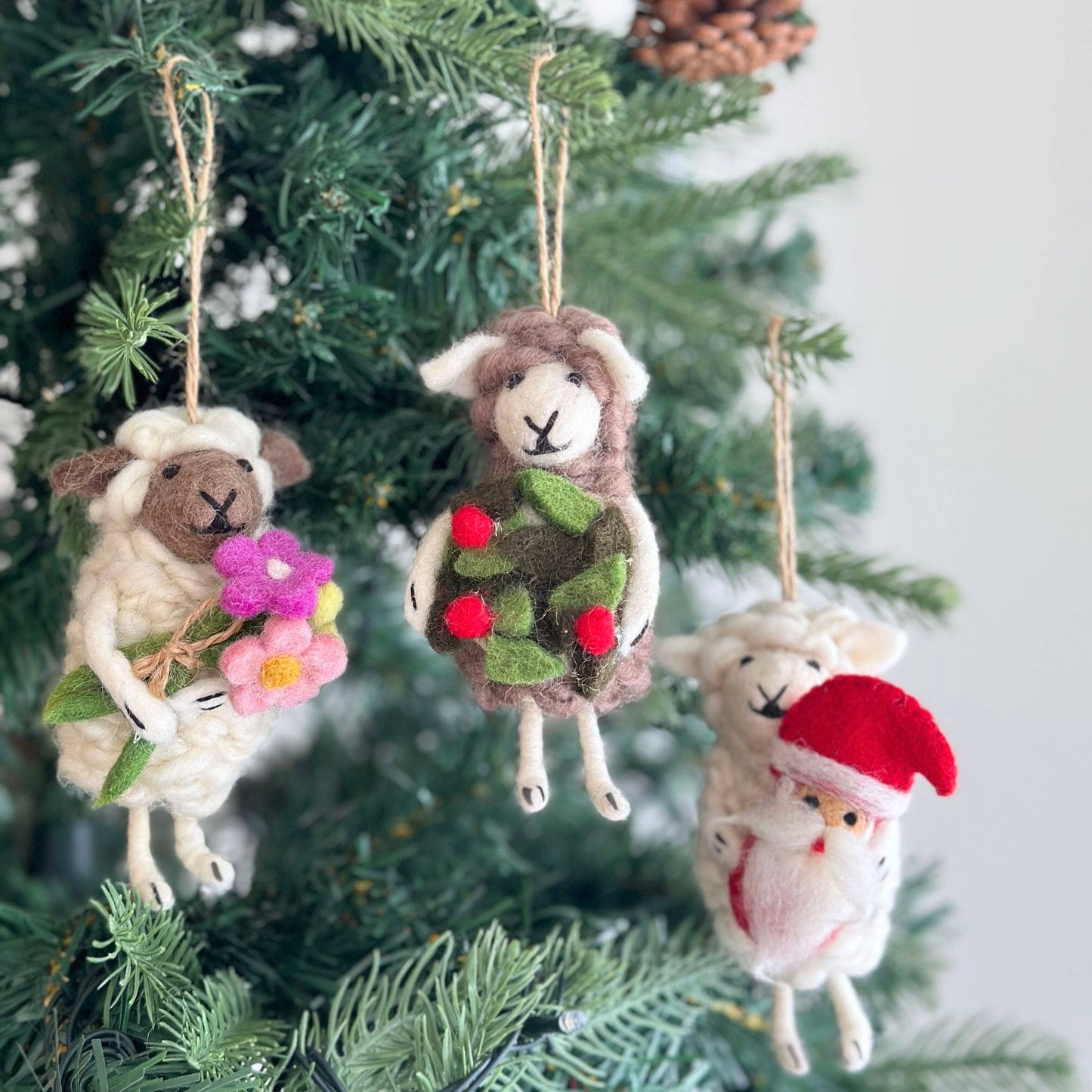 Sheep Holding Santa Ornament