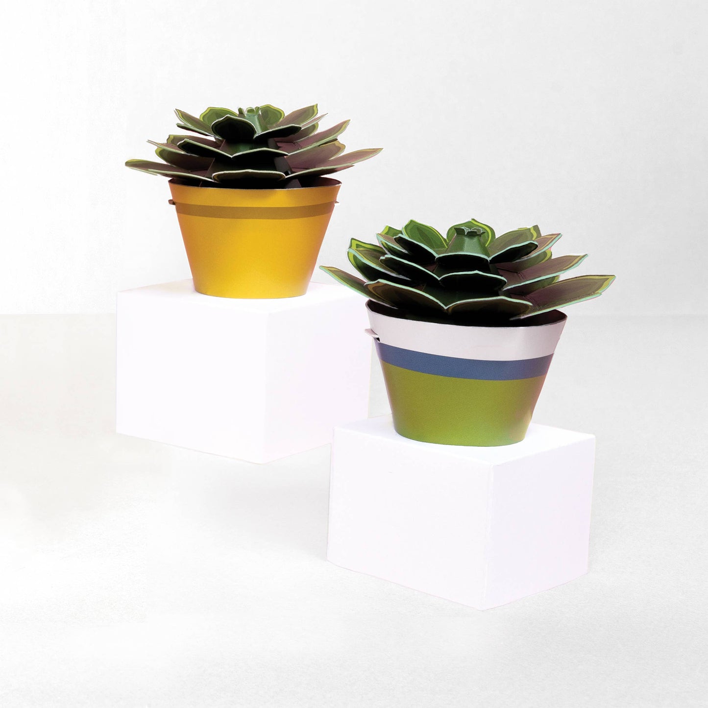 Make Your Own Soothing Succulent Paper Plant