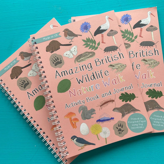 Amazing British Nature Walk Activity Book and Nature Journal