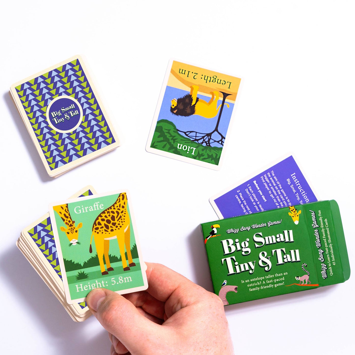 Big Small Tiny and Tall Card Game