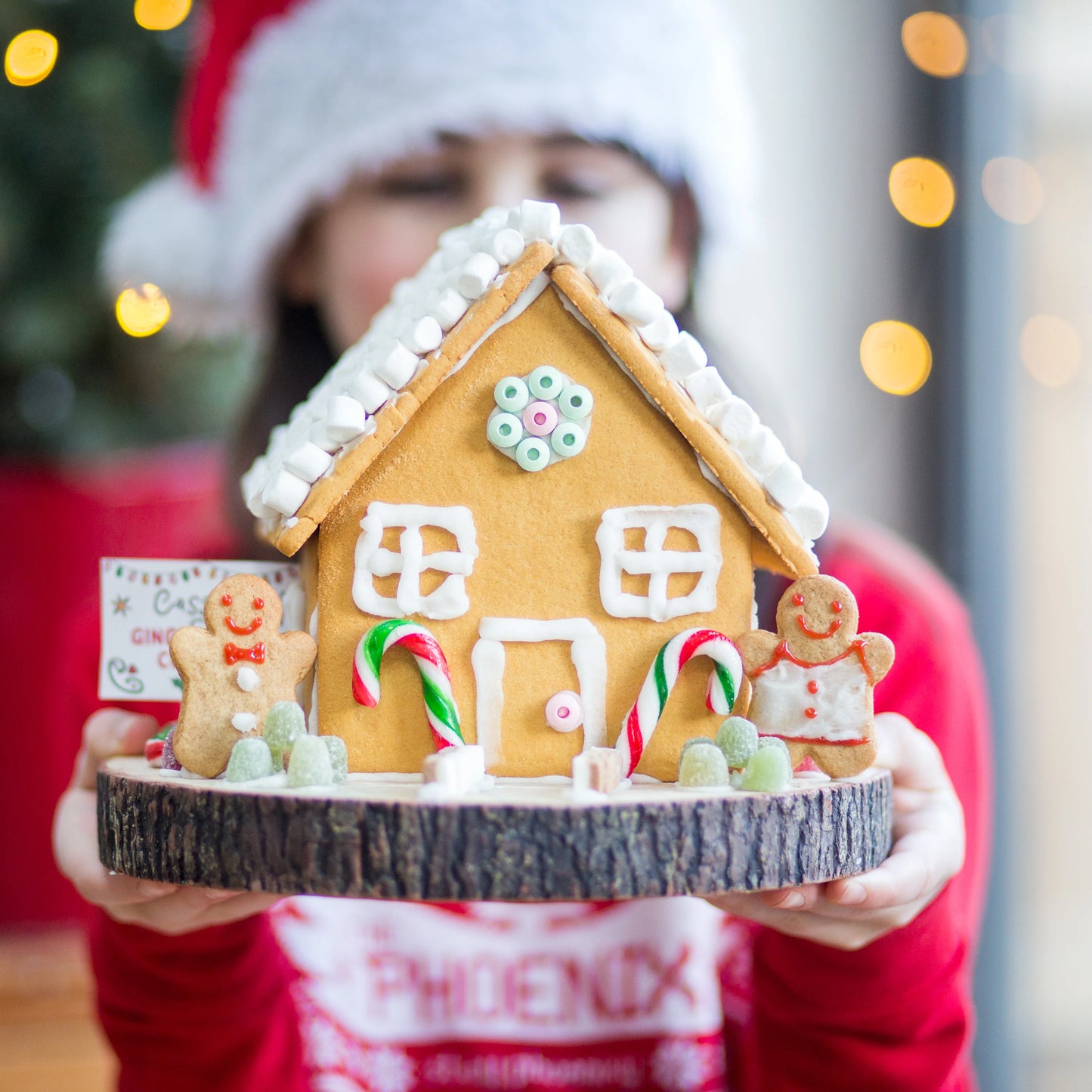 Gingerbread House Making Kit