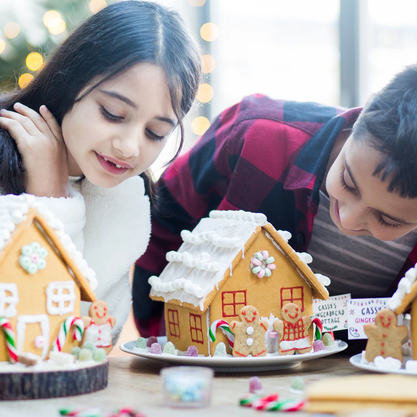 Gingerbread House Making Kit