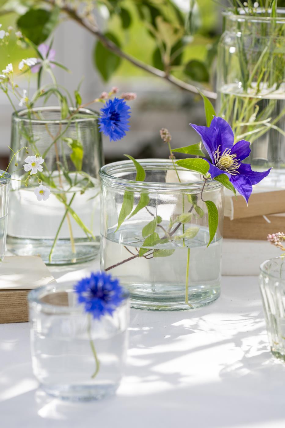 Glass Vase with Edge