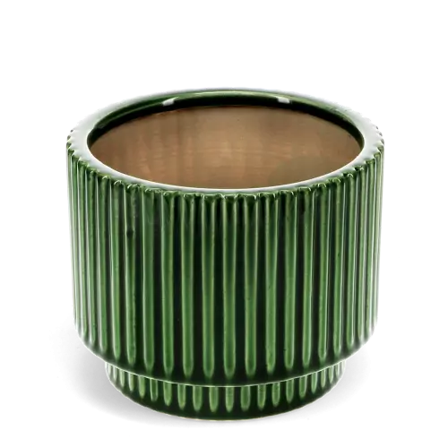 Ridged Plant Pot | Mustard / Green | Ø13cm