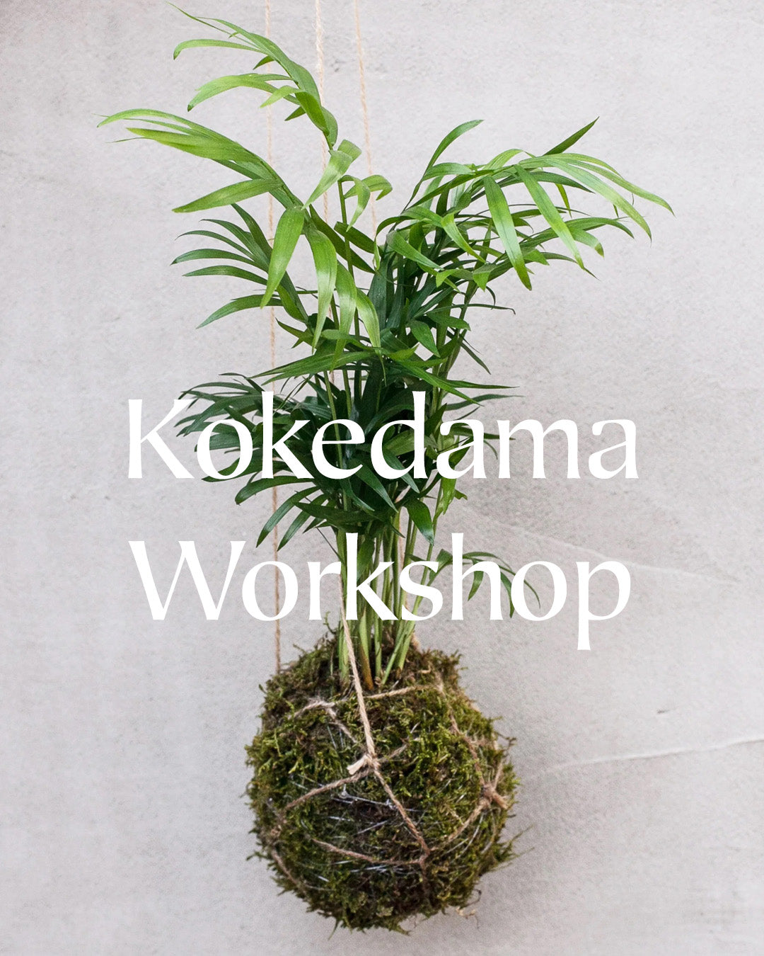 Kokedama Making Workshop | Tuesday 24th September 2024