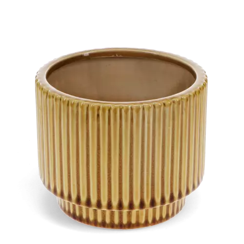 Ridged Plant Pot | Mustard / Green | Ø13cm