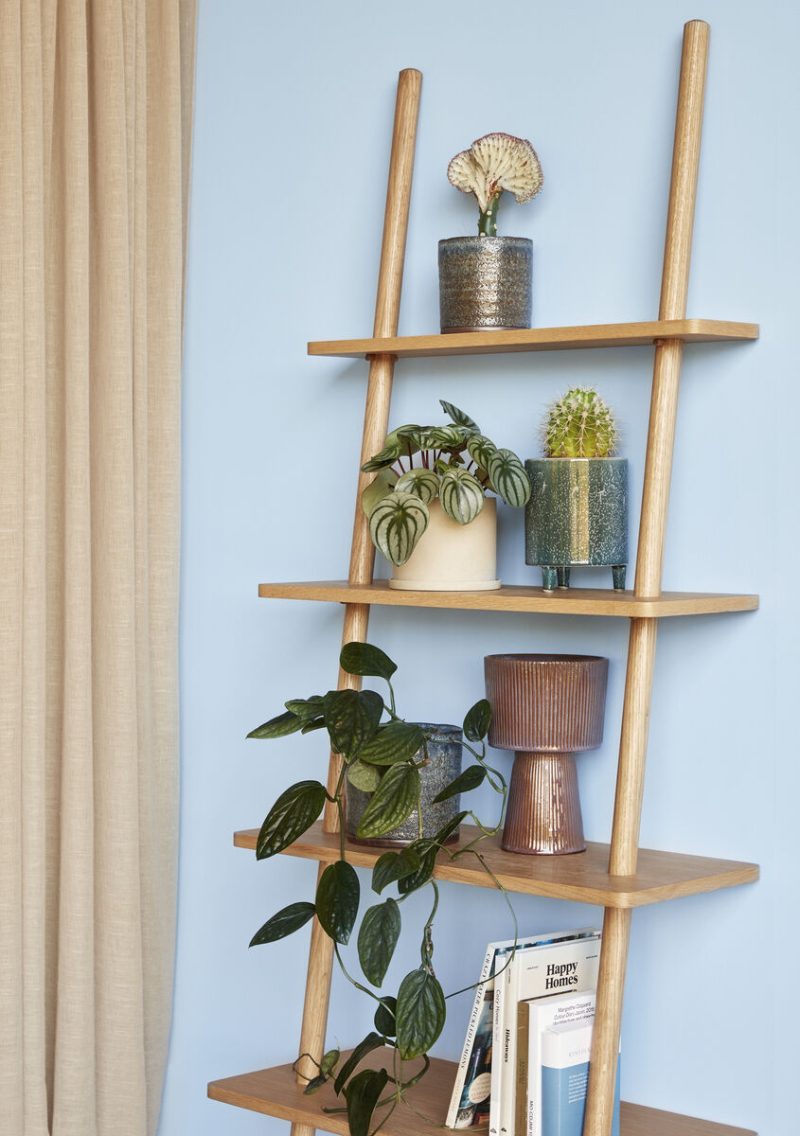 Plinth Pots in Brown & Purple