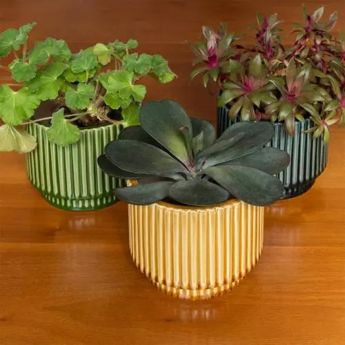 Ridged Plant Pot | Mustard / Green | Ø13cm