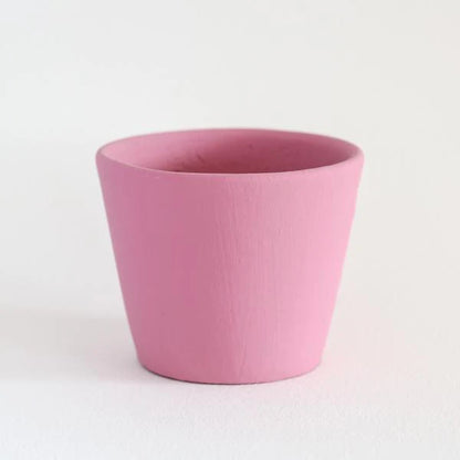 Coloured Plant Pot