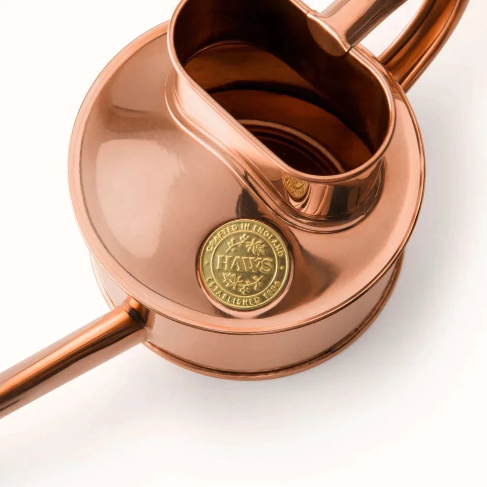 The Every Space 1 pint hand-polished Fazeley Flow Copper Pot Waterer watering can with non drip spout by Haws