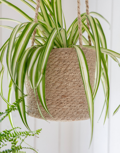 Hanging Woven Plant Pot