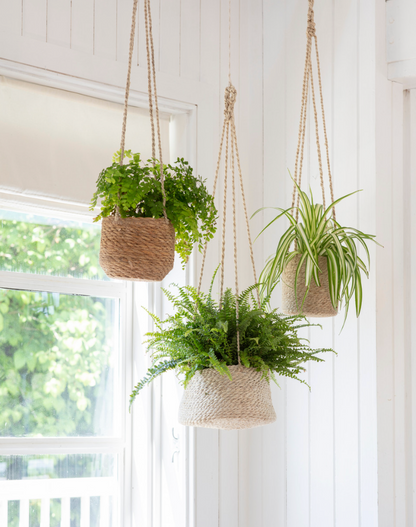 Hanging Woven Plant Pot