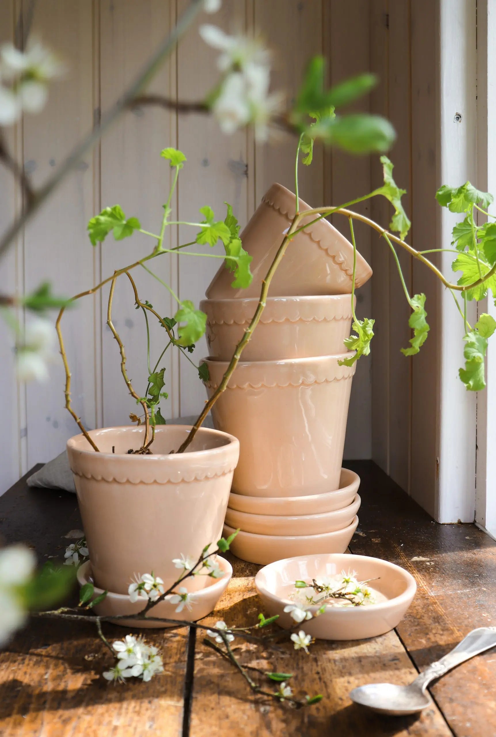 Helena Pot in Glazed Rose